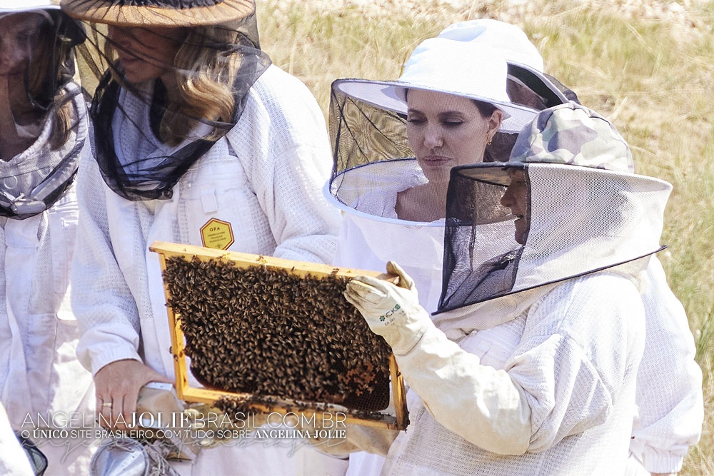 2021-TrabalhoHumanitario-CampoWomenForBees-028.jpg