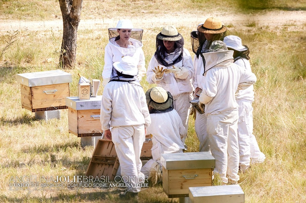 2021-TrabalhoHumanitario-CampoWomenForBees-040.jpg