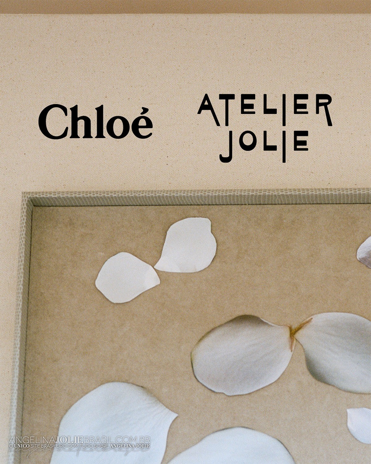 AtelierJolie-2023-Chloee-Fotos-Promocionais-1-001.jpg