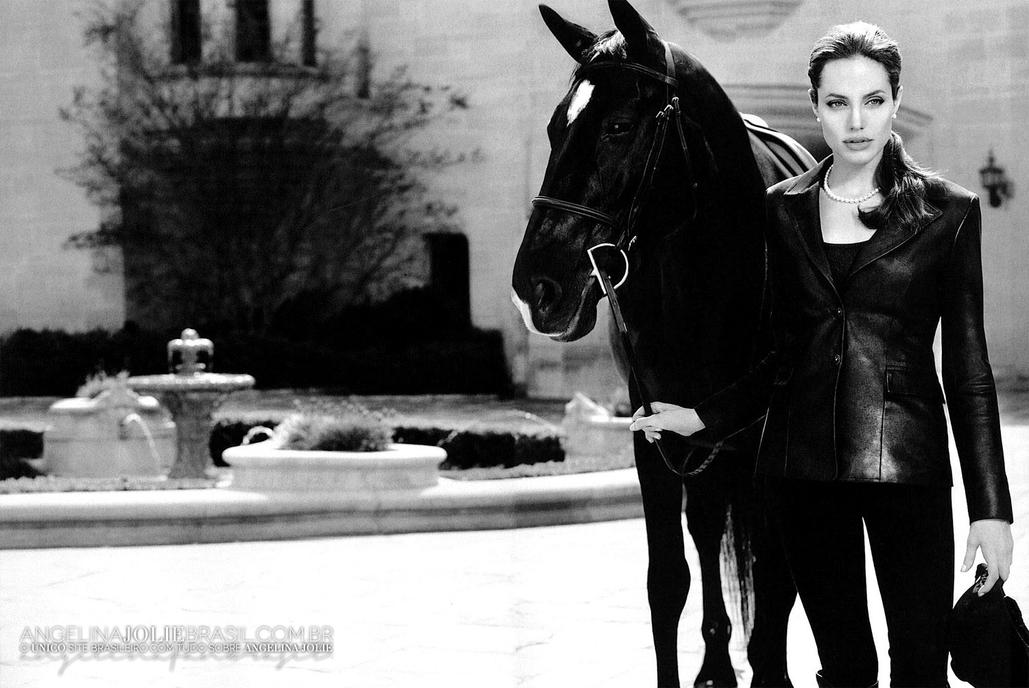 Анджелина джоли фото с лошадью