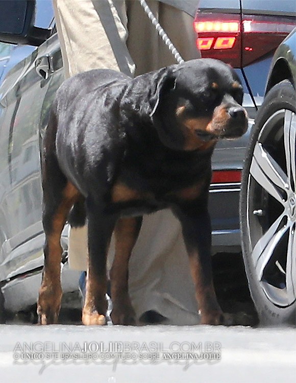 Candids-2026-07-Julho-05-016.jpg