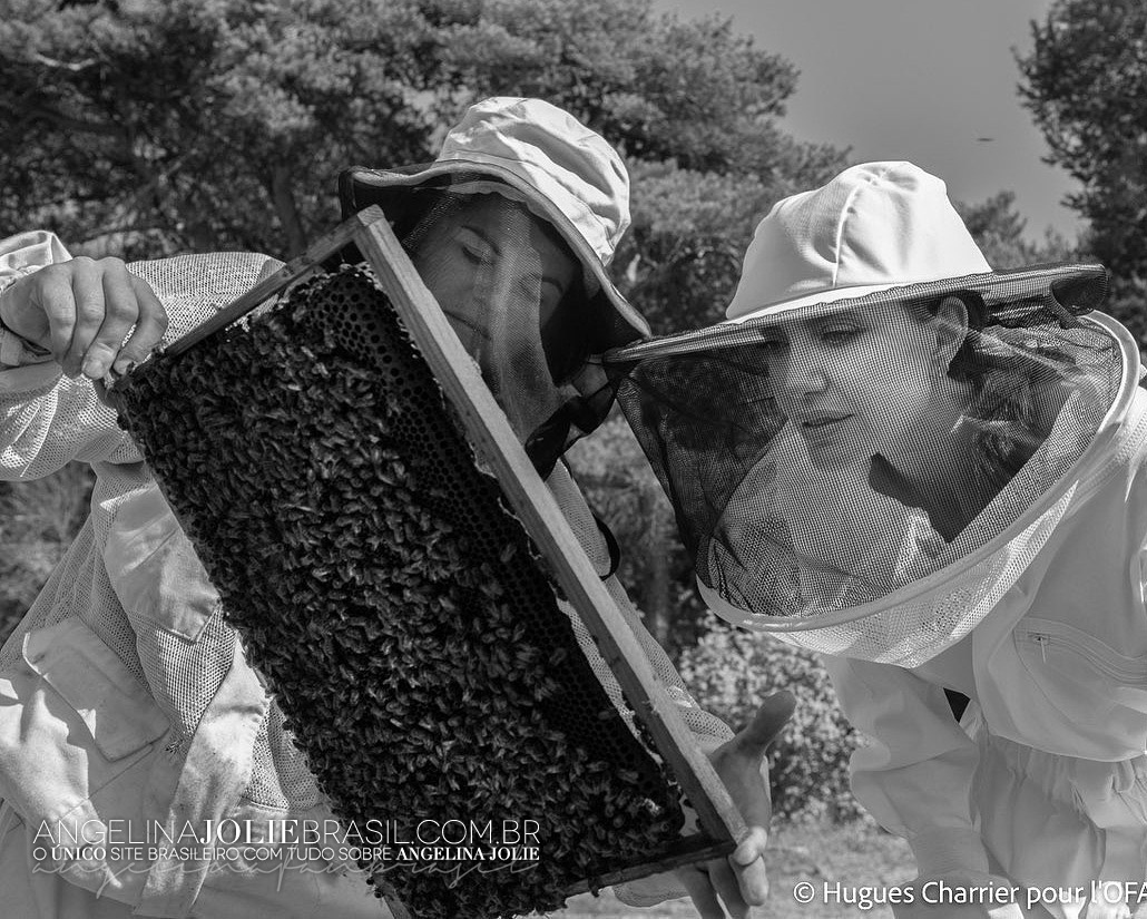 TrabalhoHumanitario-WomenForBees-PromoShoot-2-006.jpg