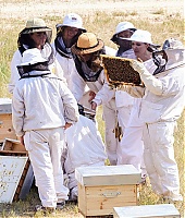 2021-TrabalhoHumanitario-CampoWomenForBees-033.jpg