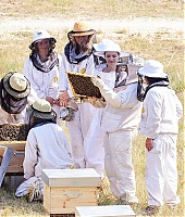 2021-TrabalhoHumanitario-CampoWomenForBees-037.jpg