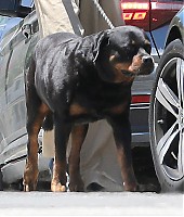 Candids-2026-07-Julho-05-016.jpg