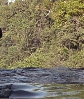 Filmes-2001-Lara-Croft-Tomb-Raider-Capturas-791.jpg