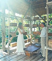 TrabalhoHum-WomenForBees-PromoVideo-Mexico-1-032.jpg