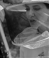 TrabalhoHumanitario-WomenForBees-PromoShoot-2-008.jpg